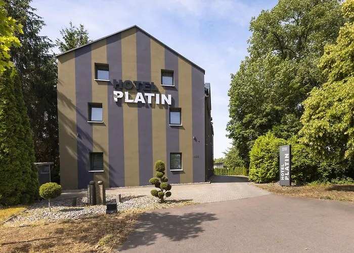 Hotel Platin 3*